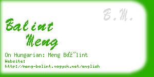 balint meng business card